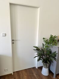 Pronájem bytu 3+1 v osobním vlastnictví 99 m², Praha 6 - Bubeneč