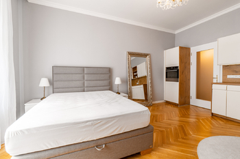 Pronájem bytu 1+kk v osobním vlastnictví 36 m², Praha 7 - Holešovice
