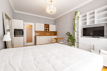 Pronájem bytu 1+kk v osobním vlastnictví 36 m², Praha 7 - Holešovice