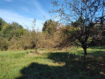 Prodej pozemku 3800 m², Havířov