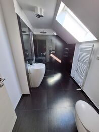 koupelna s WC v podkroví - Pronájem domu 221 m², Dublovice