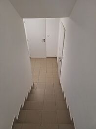 schodiště do suterénu - Pronájem domu 221 m², Dublovice