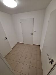 chodba v suterénu - Pronájem domu 221 m², Dublovice