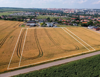 Prodej pozemku 12925 m², Nový Šaldorf-Sedlešovice