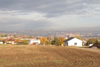 Prodej pozemku 12925 m², Nový Šaldorf-Sedlešovice