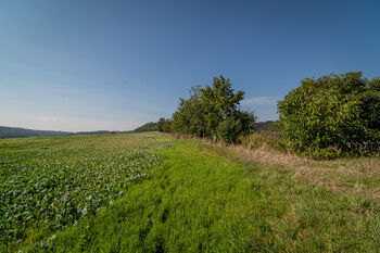 Prodej pozemku 1092 m², Jedomělice