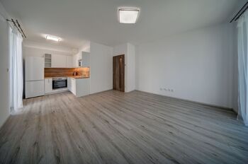 Pronájem bytu 2+1 v osobním vlastnictví 47 m², Milovice