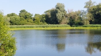 Rybník - Prodej domu 79 m², Doloplazy