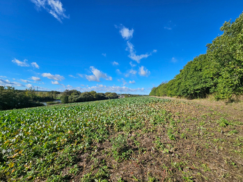 Prodej pozemku 18938 m², Slaný