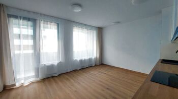 Pronájem bytu 1+kk v osobním vlastnictví 32 m², Praha 3 - Žižkov