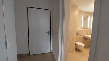 Pronájem bytu 1+kk v osobním vlastnictví 32 m², Praha 3 - Žižkov