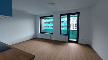 Pronájem bytu 1+kk v osobním vlastnictví 32 m², Praha 3 - Žižkov