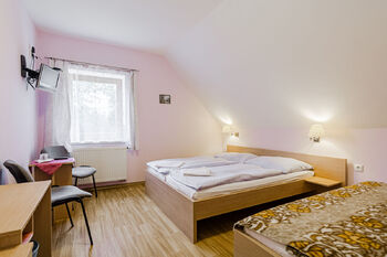 Prodej hotelu 341 m², Třeboň