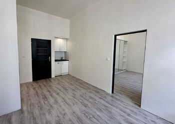 Prodej bytu 2+kk v osobním vlastnictví 44 m², Praha 3 - Žižkov