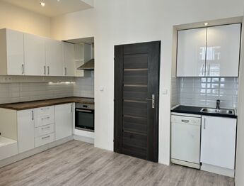 Prodej bytu 2+kk v osobním vlastnictví 44 m², Praha 3 - Žižkov