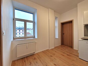 Pronájem bytu 1+1 v osobním vlastnictví 34 m², Praha 4 - Nusle