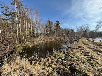 Prodej zemědělského objektu 318 m², Velká Losenice