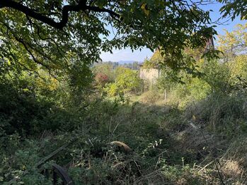 Prodej zemědělského objektu 100 m², Litoměřice