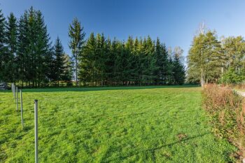 Pohled na pozemek. - Prodej pozemku 1315 m², Suchdol nad Lužnicí 