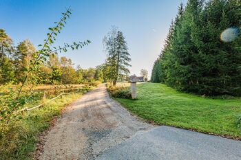 Pohled na pozemek. - Prodej pozemku 1315 m², Suchdol nad Lužnicí