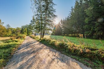 Pohled na pozemek. - Prodej pozemku 1315 m², Suchdol nad Lužnicí