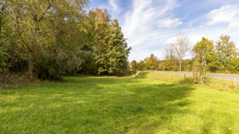 Prodej pozemku 1135 m², Žandov