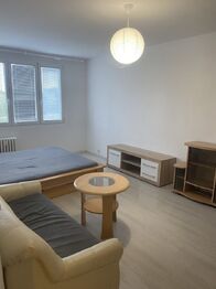 Pronájem bytu 1+1 v osobním vlastnictví 41 m², Ústí nad Labem