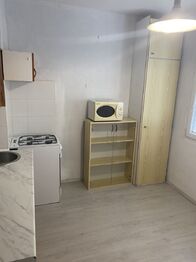 Pronájem bytu 1+1 v osobním vlastnictví 41 m², Ústí nad Labem