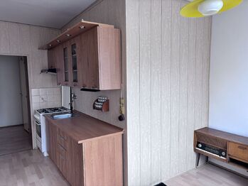 Pronájem bytu 2+1 v osobním vlastnictví 66 m², Ústí nad Labem