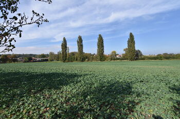 Prodej pozemku 1217 m², Kolešovice