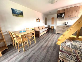 Prodej bytu 1+kk v osobním vlastnictví 26 m², Nová Pec