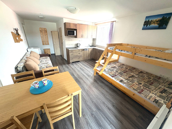 Prodej bytu 1+kk v osobním vlastnictví 26 m², Nová Pec