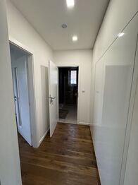 Pronájem bytu 5+1 v osobním vlastnictví 190 m², Brno