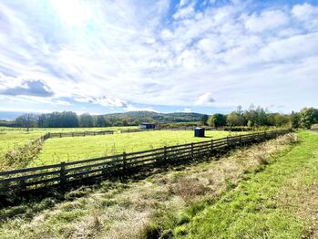 Prodej pozemku 2000 m², Křimov