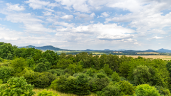 Pronájem bytu 3+1 v osobním vlastnictví 75 m², Česká Lípa