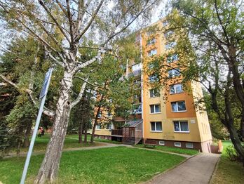 Pronájem bytu 2+kk v osobním vlastnictví 61 m², Rousínov