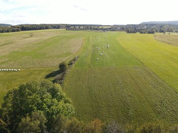 Prodej pozemku 62025 m², Labská Stráň