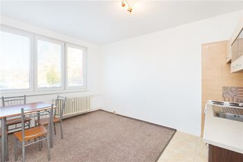 Pronájem bytu 1+kk v osobním vlastnictví 19 m², Tábor