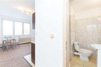 Pronájem bytu 1+kk v osobním vlastnictví 19 m², Tábor