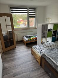 Prodej bytu 2+1 v osobním vlastnictví 57 m², Třešť