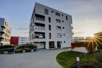 Pronájem bytu 1+kk v osobním vlastnictví 39 m², Brno