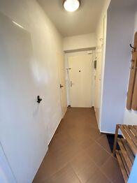 Pronájem bytu 1+kk v osobním vlastnictví 42 m², Plzeň