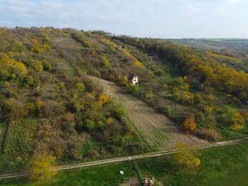 Prodej pozemku 5488 m², Hustopeče