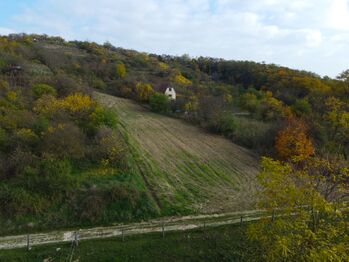 Prodej pozemku 5488 m², Hustopeče