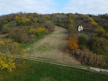 Prodej pozemku 3780 m², Hustopeče