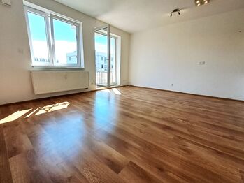 Pronájem bytu 2+kk v osobním vlastnictví 58 m², Velký Osek