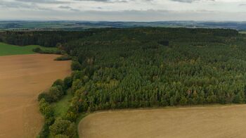 Prodej pozemku 35057 m², Všehrdy