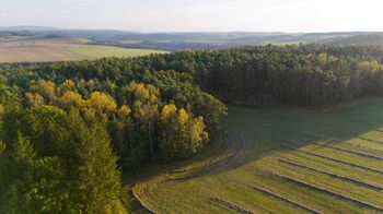 Prodej pozemku 35057 m², Všehrdy