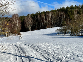 Prodej bytu 1+1 v osobním vlastnictví 85 m², Janův Důl