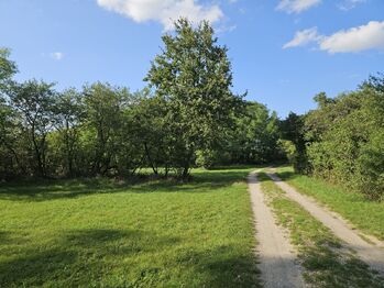 Prodej pozemku 2873 m², Bříství